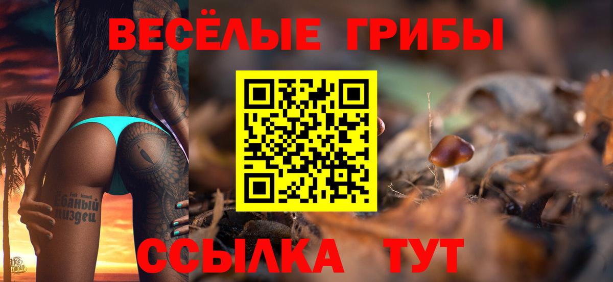 Псилоцибиновые грибы прущие грибы Электросталь